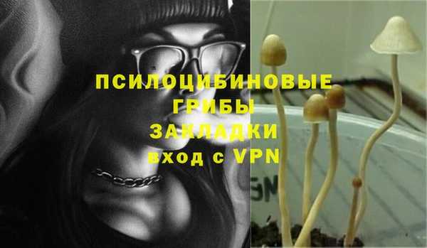 молекула духа Нефтегорск