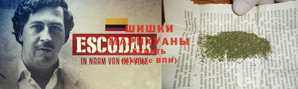 молекула духа Нефтегорск