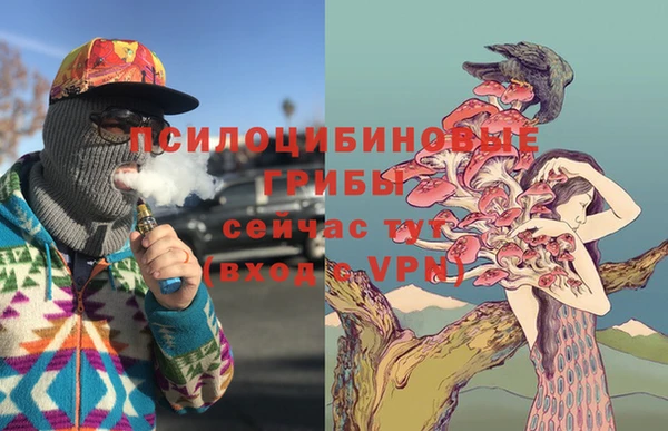 мдпв Новозыбков