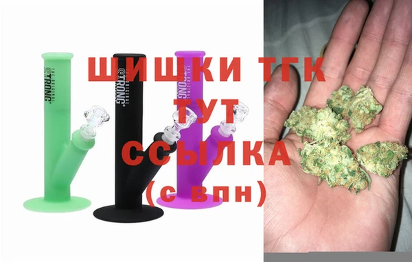 мдпв Новозыбков