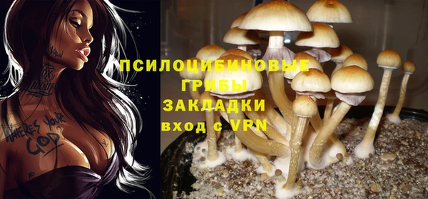 мескалин Нефтекумск