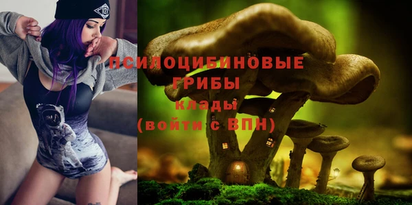 круглые Новодвинск