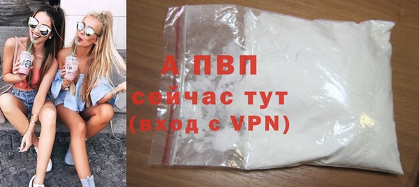 мдпв Новозыбков