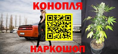 прущая мука Гусев