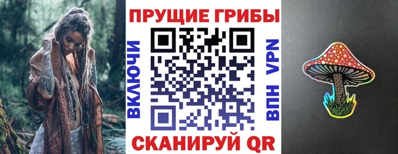 купить наркоту  Балтийск  Галлюциногенные грибы Psilocybine cubensis 