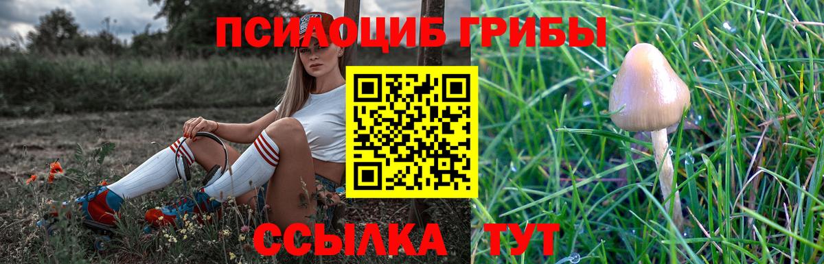 Галлюциногенные грибы GOLDEN TEACHER Балтийск