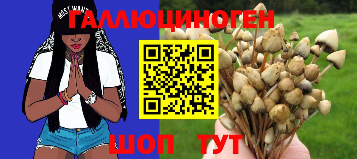 наркота  Вход с VPN  Балтийск  Галлюциногенные грибы мухоморы  Галлюциногенные грибы мицелий 